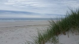 20170527_134156.jpg 20170527_134156.jpg