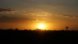 DSC00537.jpg