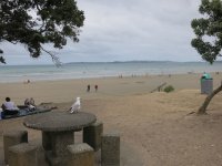 Orewa_1.jpg