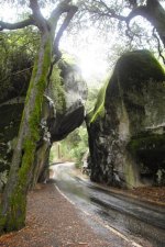 Yosemite1.jpg Yosemite1.jpg