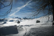 Sierra Nevada10.jpg Sierra Nevada10.jpg