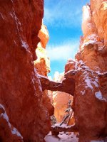 100_2390.jpg 100_2390.jpg