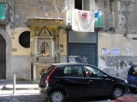 DSC08318.jpg
