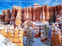 100_2408.jpg 100_2408.jpg