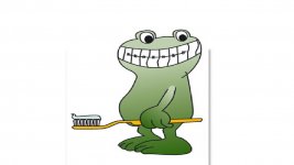 frosch2.jpg