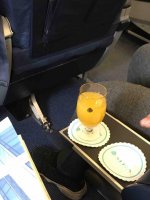 IMG_2081.jpg