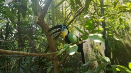 20180611_133358.jpg 20180611_133358.jpg