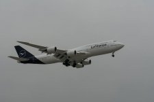 DSC_9441.jpg