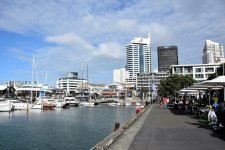 AKL_Harbour2.jpg