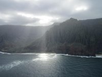 IMG_3981.jpg