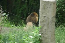 IMG_0078.jpg IMG_0078.jpg