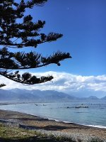 Kaikoura5.jpg