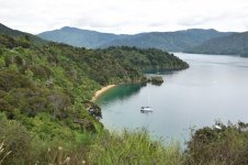 Queen_Charlotte_Sound4.jpg