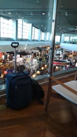 IMG-20180601-WA0008.jpg IMG-20180601-WA0008.jpg