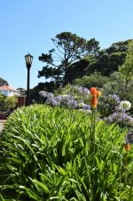 Wellington_Botanic_Garden6.jpg