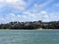 Waiheke3.jpg