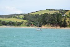 Waiheke5.jpg