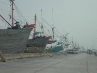 CIMG4128.jpg CIMG4128.jpg