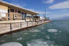 IMG_0003.jpg IMG_0003.jpg