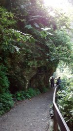 IMG-20181022-WA0012.jpg