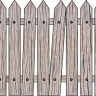 Zaunkönig