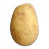 Potato