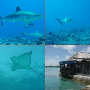 Rangiroa