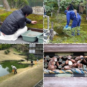 Koreanisch/Japanische Ordnungsliebe