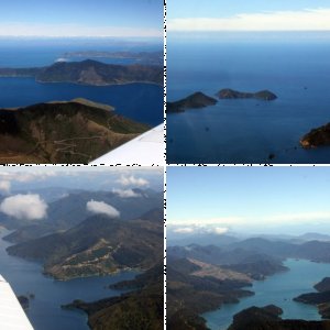 NZ