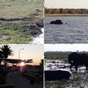 Südafrika 2