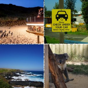 Australien 2018/2019 - 4