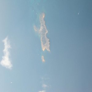 IMG 0017