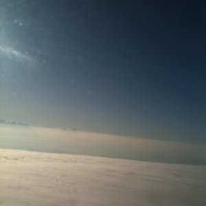 IMG 0050