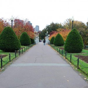 DSC 0141