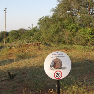 IMG 4559