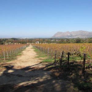 IMG 4848