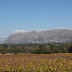 IMG 4859