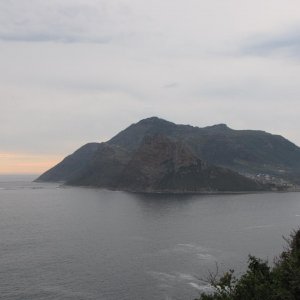 IMG 4941