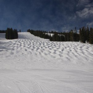 IMG 2991 K