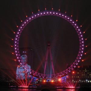 IMG 5554