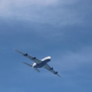 IMG 4271