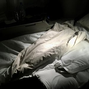 IMG 4158
