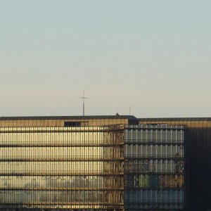 DSC01015