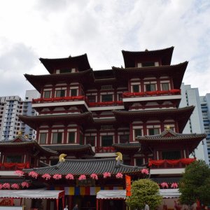DSC 0811