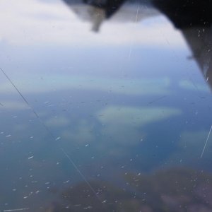http://www.vielfliegertreff.de/album.php?albumid=584&attachmentid=14215