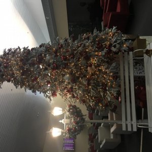 IMG 4270