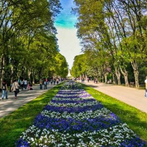 varna sights sea garden