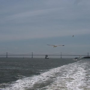 HPIM3377