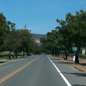 HPIM3464