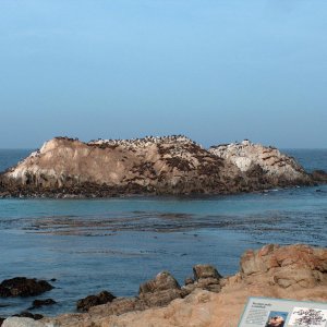 HPIM3563